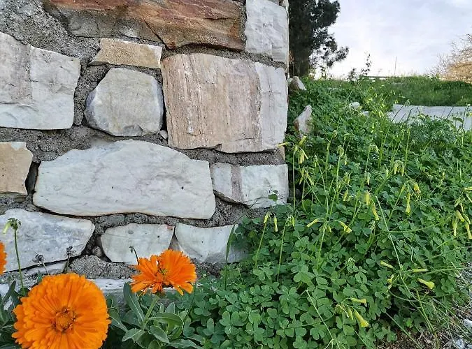 Chez Kiki Et Ioannis * Εγκαρές