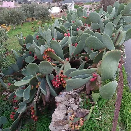 Διαμέρισμα Chez Kiki Et Ioannis