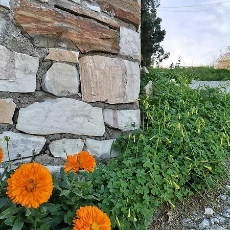 Chez Kiki Et Ioannis * Engaraí