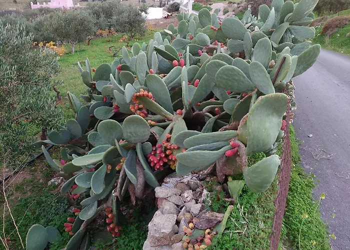 Apartment Chez Kiki Et Ioannis